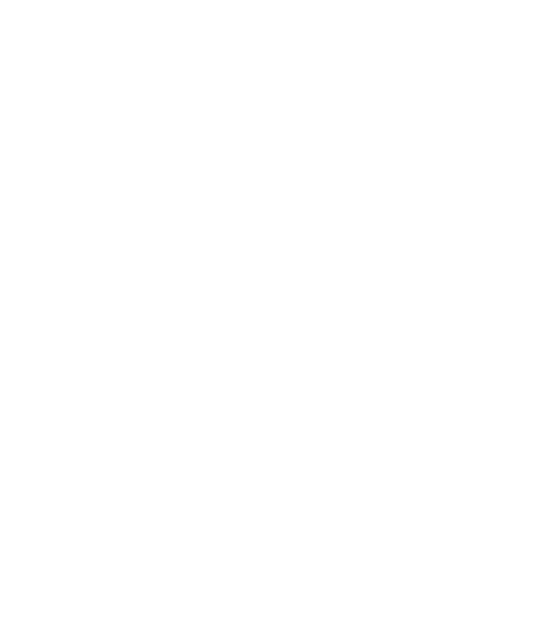 DEEP RISE PHARMA-logo blanc